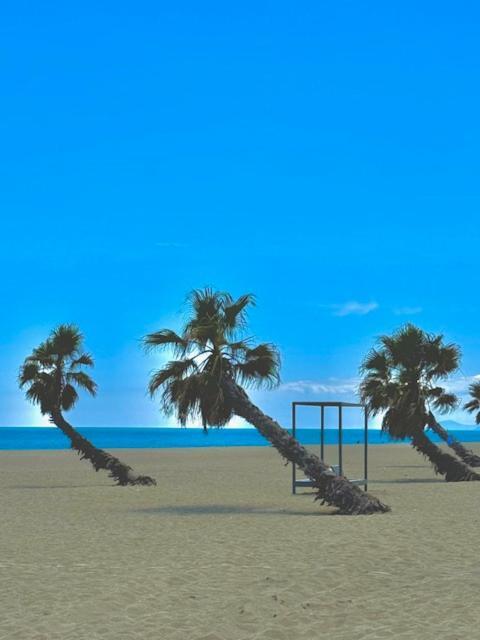 Appartement 4 Personnes Piscine 300 Plage 4Pb287 Le Barcares Luaran gambar